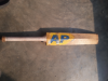 Cricket set