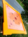 Carrom Board premium quality