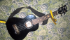 Ukelele 24