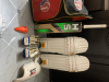 Cricket kit