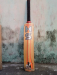 Cricket Bat H.S