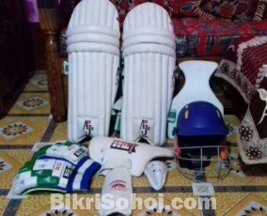 Cricket set