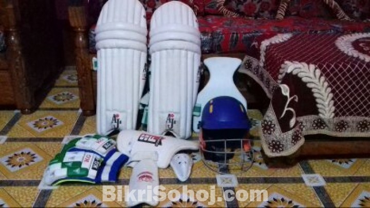 Cricket set