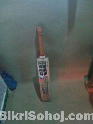 cricket bat