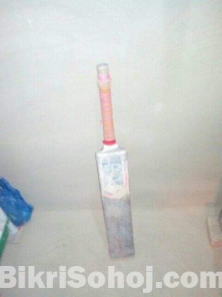 cricket bat