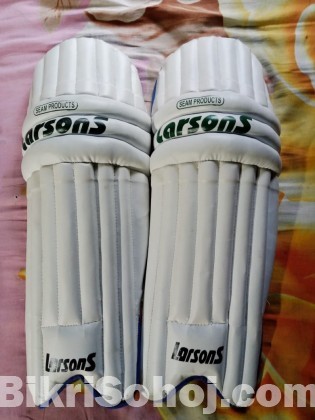 Cricket Set