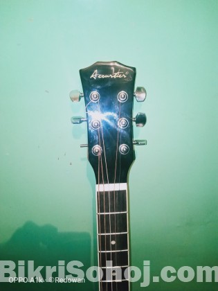 Guitar