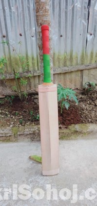 Cricket Bat