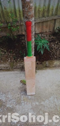 Cricket Bat