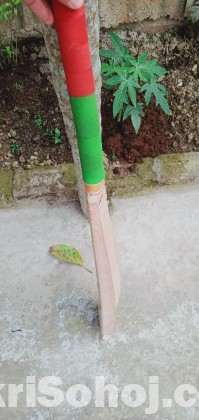 Cricket Bat