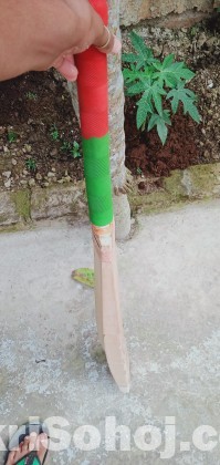 Cricket Bat