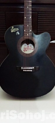 Singniture acoustic guitar.