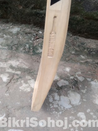 Cricket bat