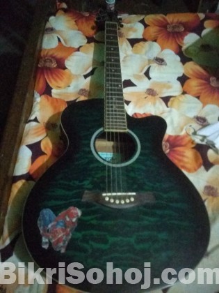 TGM guitar