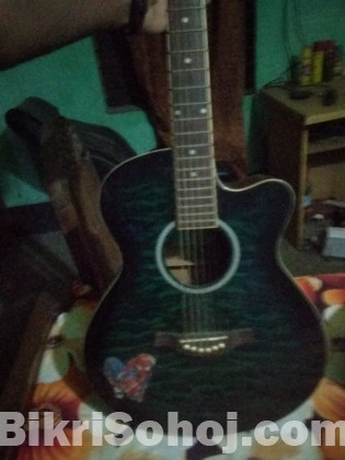 TGM guitar