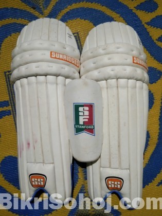 Cricket pads