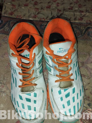 Crickets Shoes,Thai pad,Guard, cricket bag