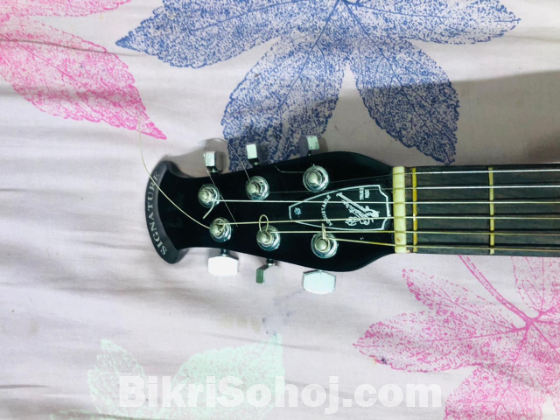 Guiter