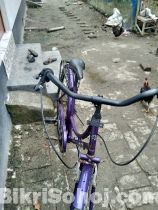 গেয়ার সাইকেল