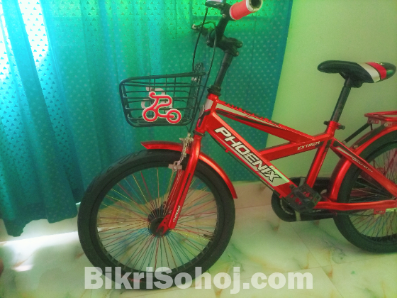 Phoenix Bicycle