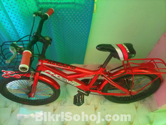 Phoenix Bicycle