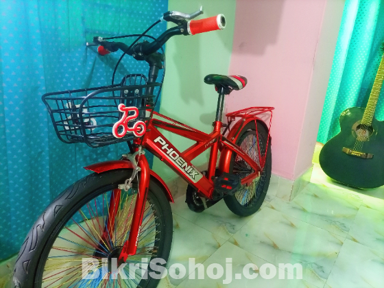 Phoenix Bicycle