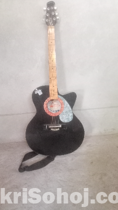 Signature guitar