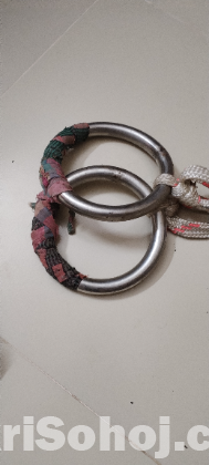 বুক ডাউন স্টান ও দুইটি রিন