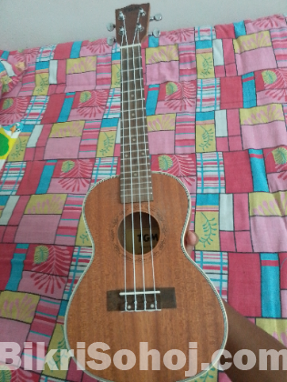 Ukulele