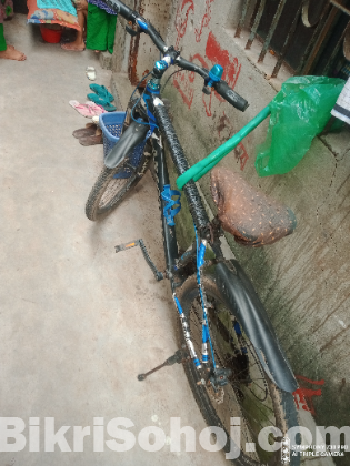 বাইসাইকেল
