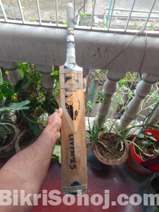Ton Cricket bat