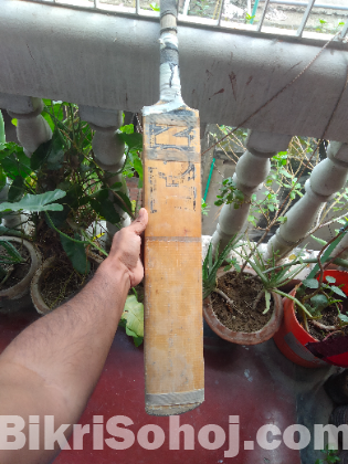 Ton Cricket bat