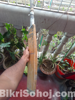 Ton Cricket bat