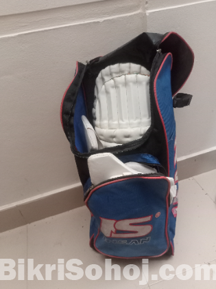 premium quality es cricket batting pad.