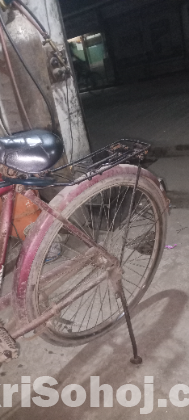 Cycle