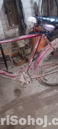 Cycle