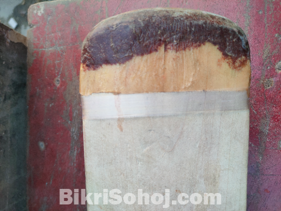 Ihsaan customized bat
