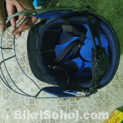 Cricket set