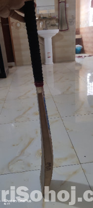 BS Dolphin Customised Cricket Bat