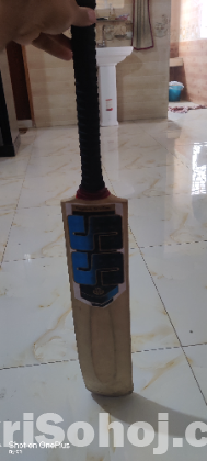 BS Dolphin Customised Cricket Bat