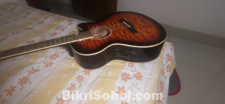 Guitar