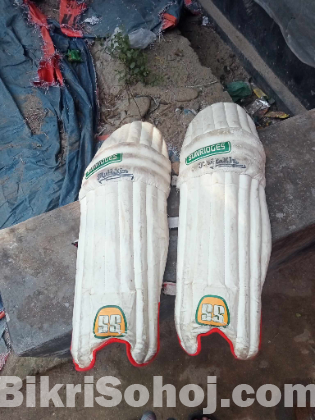Cricket Instrument