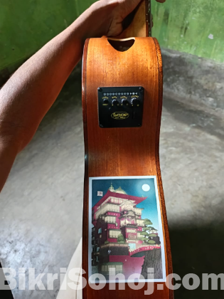 Sqoe-SQ-J Guitar for Sale