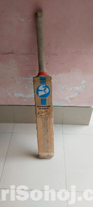 Kashmir willow cricket bat