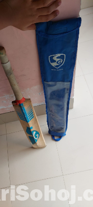 Kashmir willow cricket bat