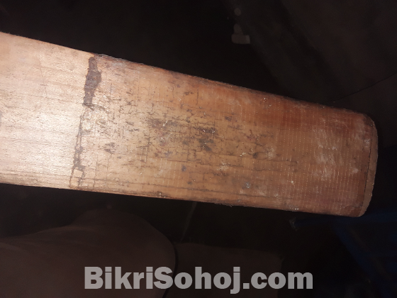 কাশ্মীরী উইলো ব্যাট বিক্রয়