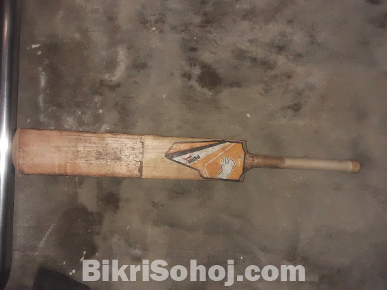 কাশ্মীরী উইলো ব্যাট বিক্রয়