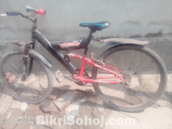 Bicycle