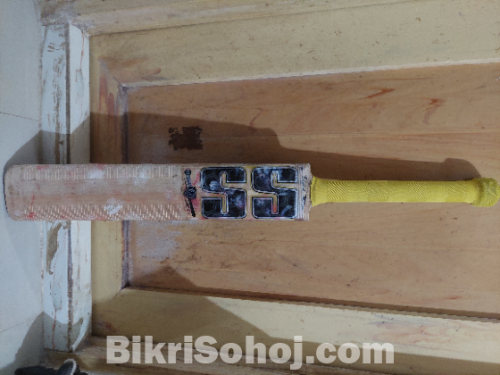 English willow cricket bat