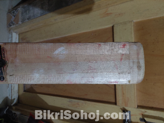 English willow cricket bat